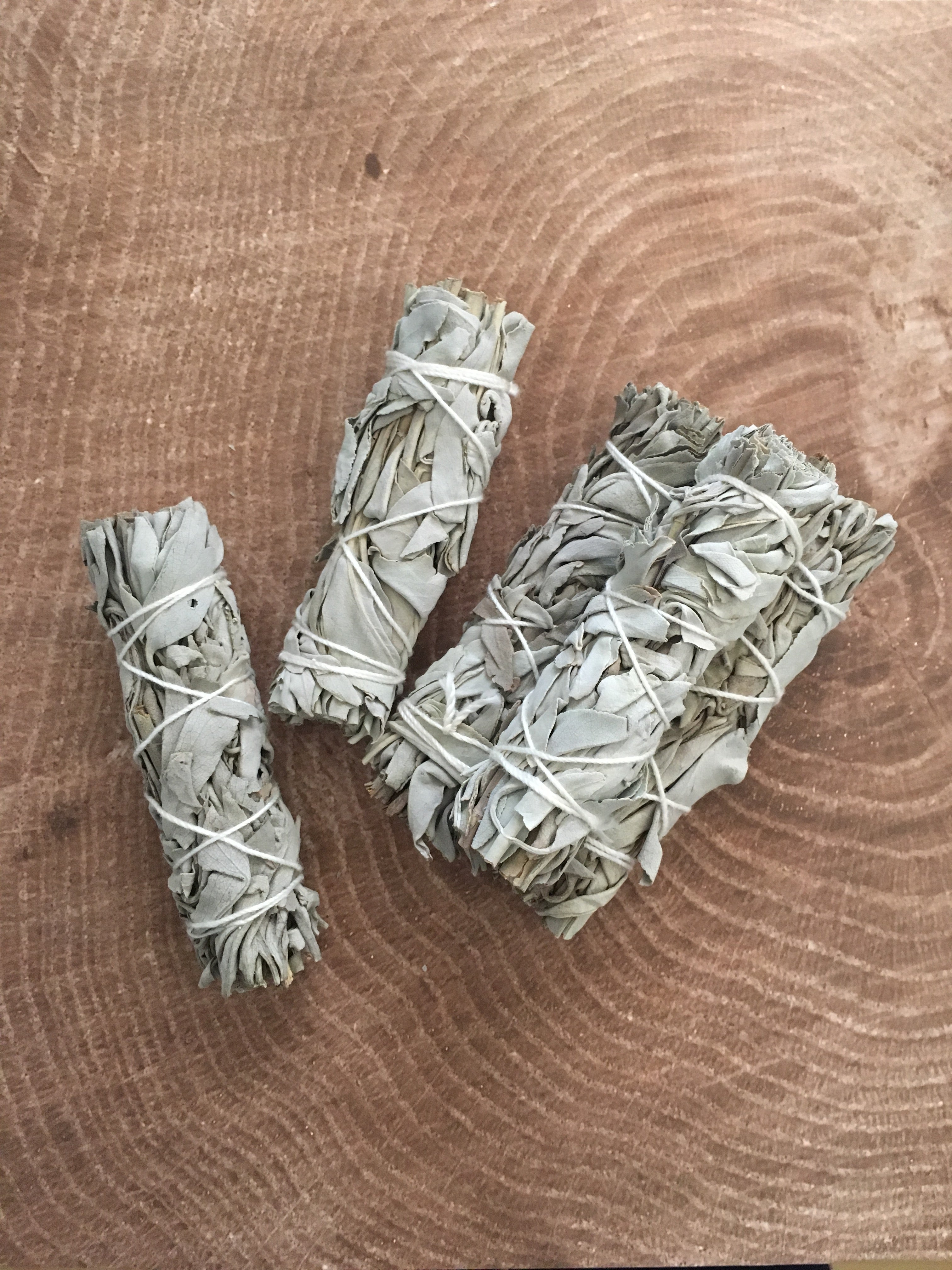 White Sage Sticks - 4 Inches