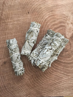 White Sage Sticks - 4 Inches